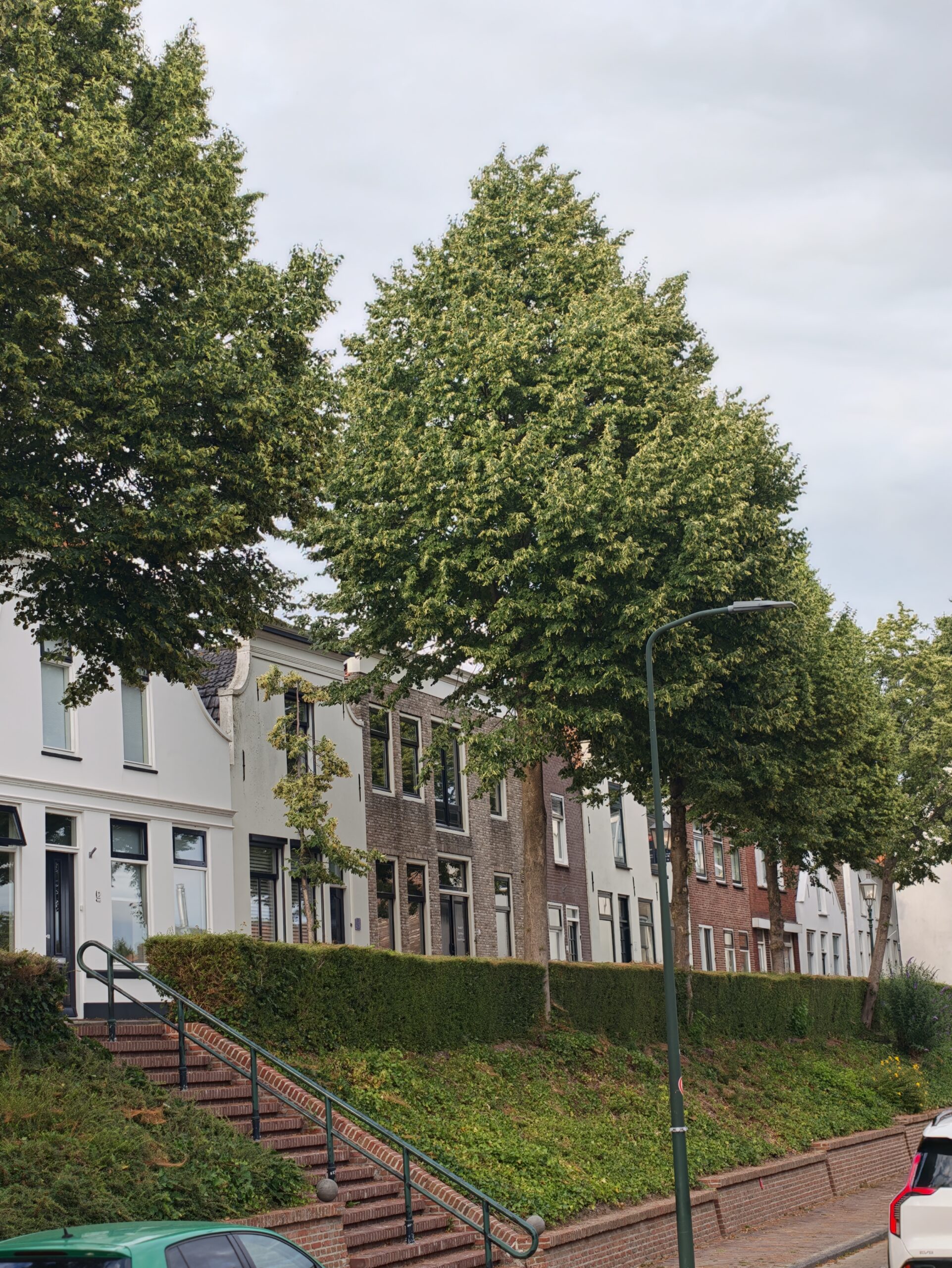 Locatie 8: Oostdijk 29